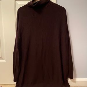 Loft Turtleneck Sweater